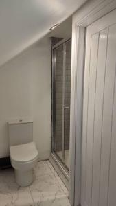 a bathroom with a toilet and a walk in shower at 3 Bedroom, 3 Bathroom, Modern Apartment, Leicester in Leicester