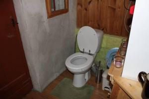 a bathroom with a white toilet in a room at Roubenka U Myšáka Jizerské hory in Tanvald