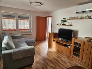 a living room with a couch and a flat screen tv at Apartma Ferida in Bovec