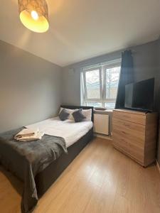 una camera con letto e TV a schermo piatto di 1 bedroom flat in Whitechapel, London a Londra