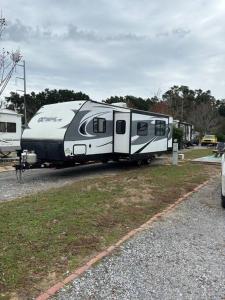 Gallery image of Feel the Vibe in Pensacola