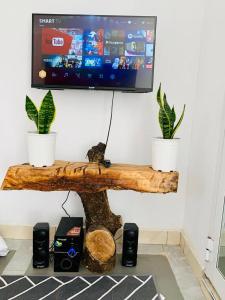een tv bovenop een tafel met twee planten bij Lions house arusha Airbnb in Arusha