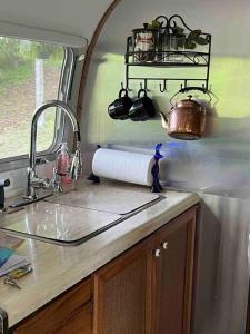 an rv kitchen with a sink and a counter top at Airstream at a Petting Zoo w/ Hot Tub in Sugar Grove