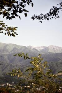 Een algemene foto van de bergen of uitzicht op de bergen vanuit het vakantiehuis