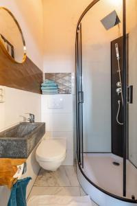 een badkamer met een douche, een toilet en een wastafel bij De Loods in Kampen