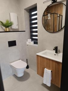 a bathroom with a toilet and a sink and a mirror at Domki Pod Łysicą in Krajno Pierwsze