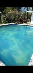 a large pool of blue water in a yard at Casa la jungla in Miacatlán