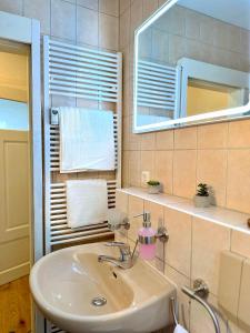 ein Badezimmer mit Waschbecken und Spiegel in der Unterkunft Boutique Apartment • Zentrum • Netflix • Parkplatz in Bad Schandau + 30 Fotos