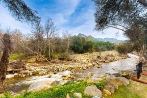 Gallery image of Momma's Paradise in Three Rivers