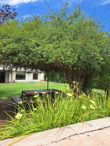 a picnic table under a tree in a park at Casona de coria in Ciudad Lujan de Cuyo