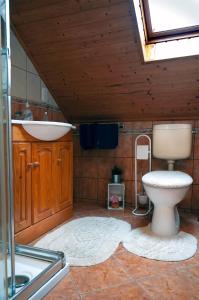 a bathroom with a toilet and a sink at Zoltán Borháza in Tihany