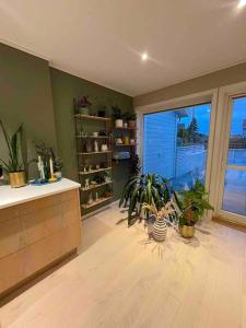 a living room with plants and a large window at Rekkehus sentralt i Bryne in Time