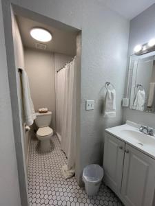 a bathroom with a toilet and a sink and a mirror at Arizona 9 Motor Hotel in Williams