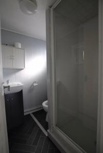 a bathroom with a glass shower and a toilet at Beautiful Chalet close to the beach in Eastchurch