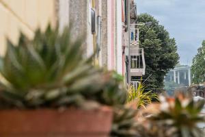 un bâtiment avec des plantes en pot devant dans l'établissement Cosy House in Porto Marina, à Vila Nova de Gaia