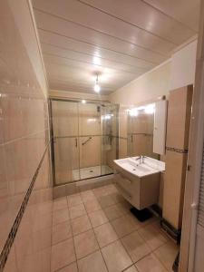 a bathroom with a sink and a shower at La Case à Jeannette in Châteauroux