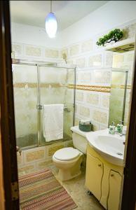 een badkamer met een toilet, een wastafel en een douche bij Lily House 3 in San Felipe de Puerto Plata
