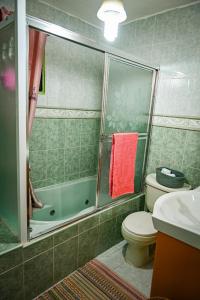 een badkamer met een douche, een toilet en een wastafel bij Lily House 3 in San Felipe de Puerto Plata