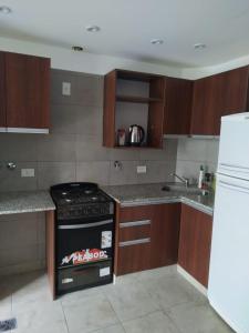 a kitchen with a stove and a sink at Ciudad Cultural in San Salvador de Jujuy