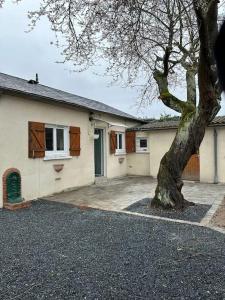 a house with a tree in front of it at Maison plain pied au calme proche centre d’Orléans in Orléans