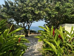 Foto sihtkohas Montepio asuva majutusasutuse Glamping Las Olas by Rotamundos galeriist