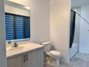 a bathroom with a toilet and a sink and a mirror at Spacious 4-Bedroom Home, Comfortably Sleeps 10 in Barrie
