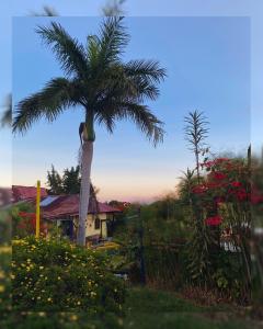 Giardino di Hostal Camino Viejo