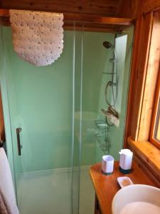ein Bad mit einer Dusche mit einer Duschkabine aus Glas in der Unterkunft The Pod Fabulous glamping pod near Snowdonia. in Caernarfon