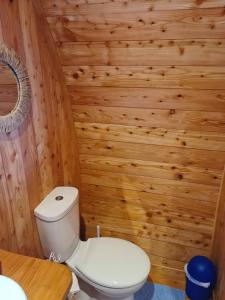 ein Bad mit einem WC und einer Holzwand in der Unterkunft The Pod Fabulous glamping pod near Snowdonia. in Caernarfon