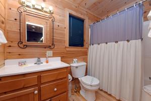 a bathroom with a toilet and a sink at Wolf`s Den | Blue Ridge GA in Blue Ridge +15 photos