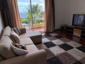 a living room with a couch and a television at Inmaculado Apartment in Funchal