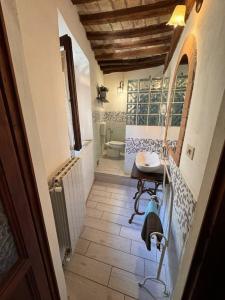 een kleine badkamer met een wastafel en een toilet bij Casa degli Archi Bibbona alta in Bibbona