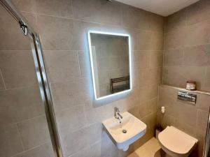 een badkamer met een wastafel, een toilet en een spiegel bij Stylish Home 20 mins from Dublin City in Dublin