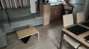 Kuchyň nebo kuchyňský kout v ubytování Camping des Dunes de Contis mobilhome 3ch,