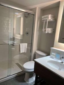 een badkamer met een douche, een toilet en een wastafel bij The Addison Hotel SureStay Collection by Best Western in Addison