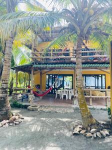 uma casa com rede e duas palmeiras em Gaia - Casa de Playa em San Bernardo del Viento