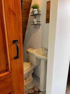 a bathroom with a toilet and a sink at Chalet Cerro azul in Cerro Azul