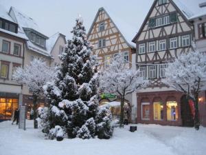 un árbol de Navidad cubierto de nieve frente a un edificio en Holiday apartment Old Town Hall, en Tauberbischofsheim