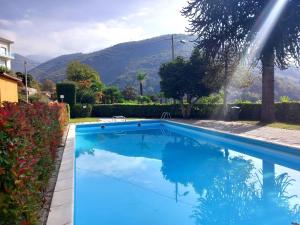 Lovely holiday home with private terrace في Maccagno Inferiore: مسبح ازرق بجبل في الخلف