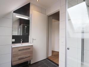 La salle de bains est pourvue d'un lavabo et d'une douche. dans l'établissement Wheelchair accessible villa in Friesland, à Leons
