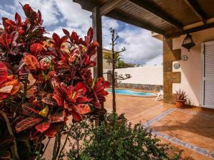 Bazén v ubytování Villa in Corralejo near Playa de Palomitas nebo v jeho okolí
