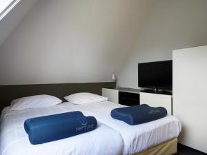 a bedroom with a bed with two blue pillows on it at Holiday home with sauna & outdoor spa in Earnewâld in Earnewâld