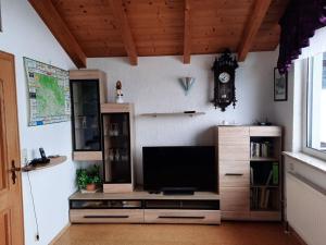 Televisi dan/atau pusat hiburan di Nice apartment in Piedmont