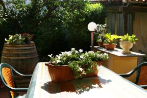 Zahrada ubytování B&B La Villa