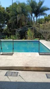 un columpio frente a una piscina en Casa la jungla, en Miacatlán