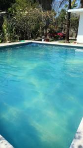a large pool of blue water in a yard at Casa la jungla in Miacatlán