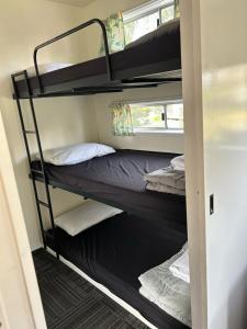 um quarto com 2 beliches e uma janela em Batemans Bay Holiday Park & Hostel em Batemans Bay