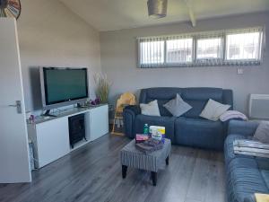 a living room with a blue couch and a flat screen tv at 350 Golden Sands in Withernsea