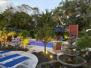 una fuente en medio de un patio con piscina en The Agustin Guesthouse - Men Only Clothing Optional en Fort Lauderdale
