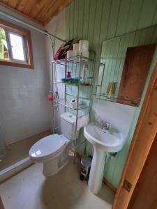 La salle de bains est pourvue de toilettes et d'un lavabo. dans l'établissement Cabaña en Contulmo, à Contulmo